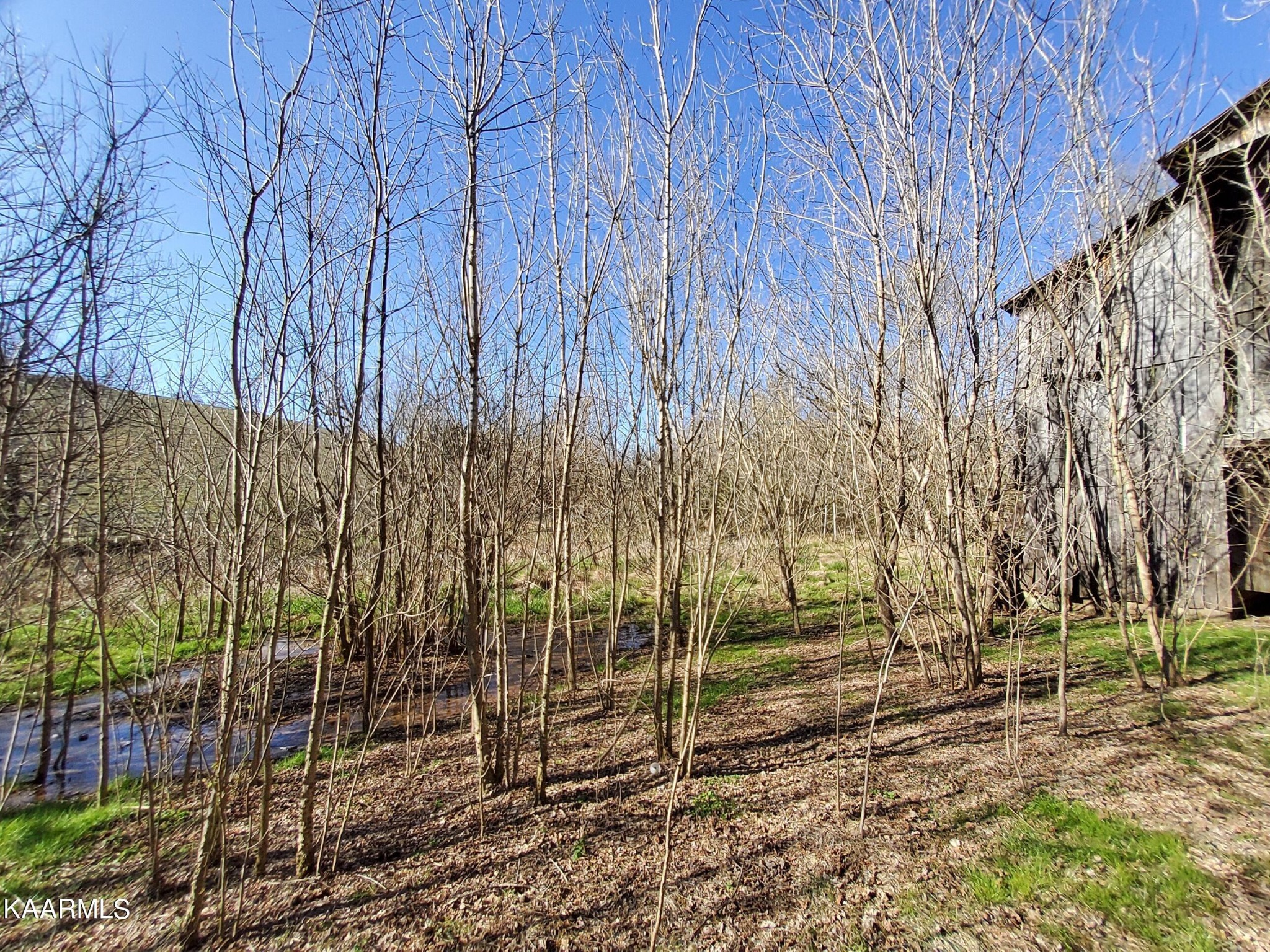 1858 Dumplin Loop Road New Market, TN 37820 - Photo 8 of 28 a view of a backyard of the house