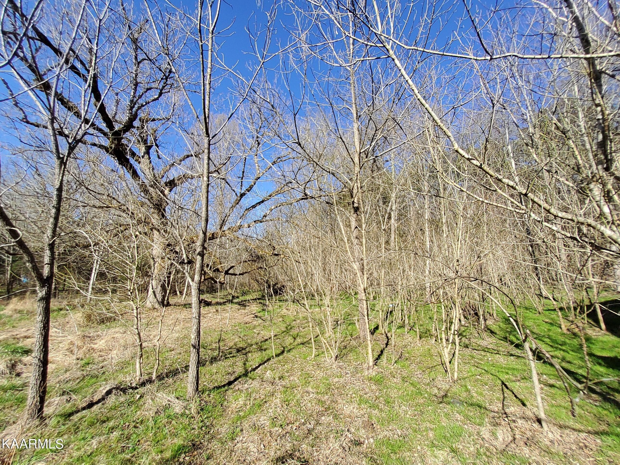 1858 Dumplin Loop Road New Market, TN 37820 - Photo 9 of 28 a backyard of a building