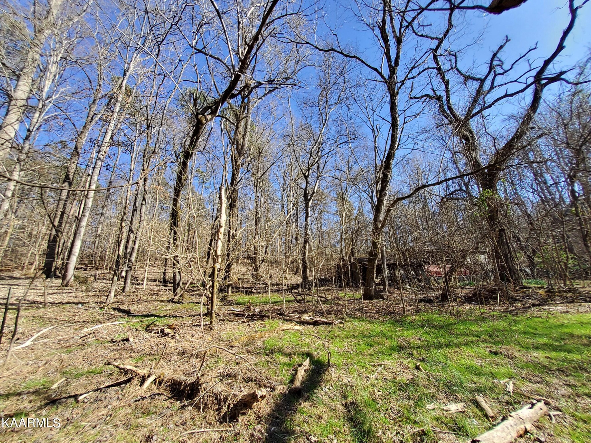 1858 Dumplin Loop Road New Market, TN 37820 - Photo 10 of 28 a view of house with yard