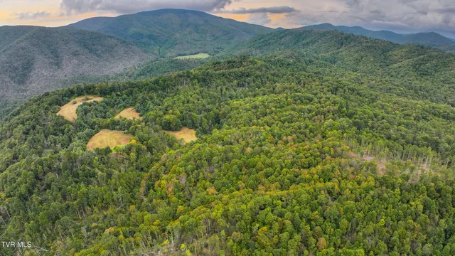 $1,100,000 | Tbd Poplar Creek Road, Green Mountain, NC 28740