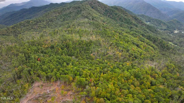 $1,100,000 | Tbd Poplar Creek Road, Green Mountain, NC 28740