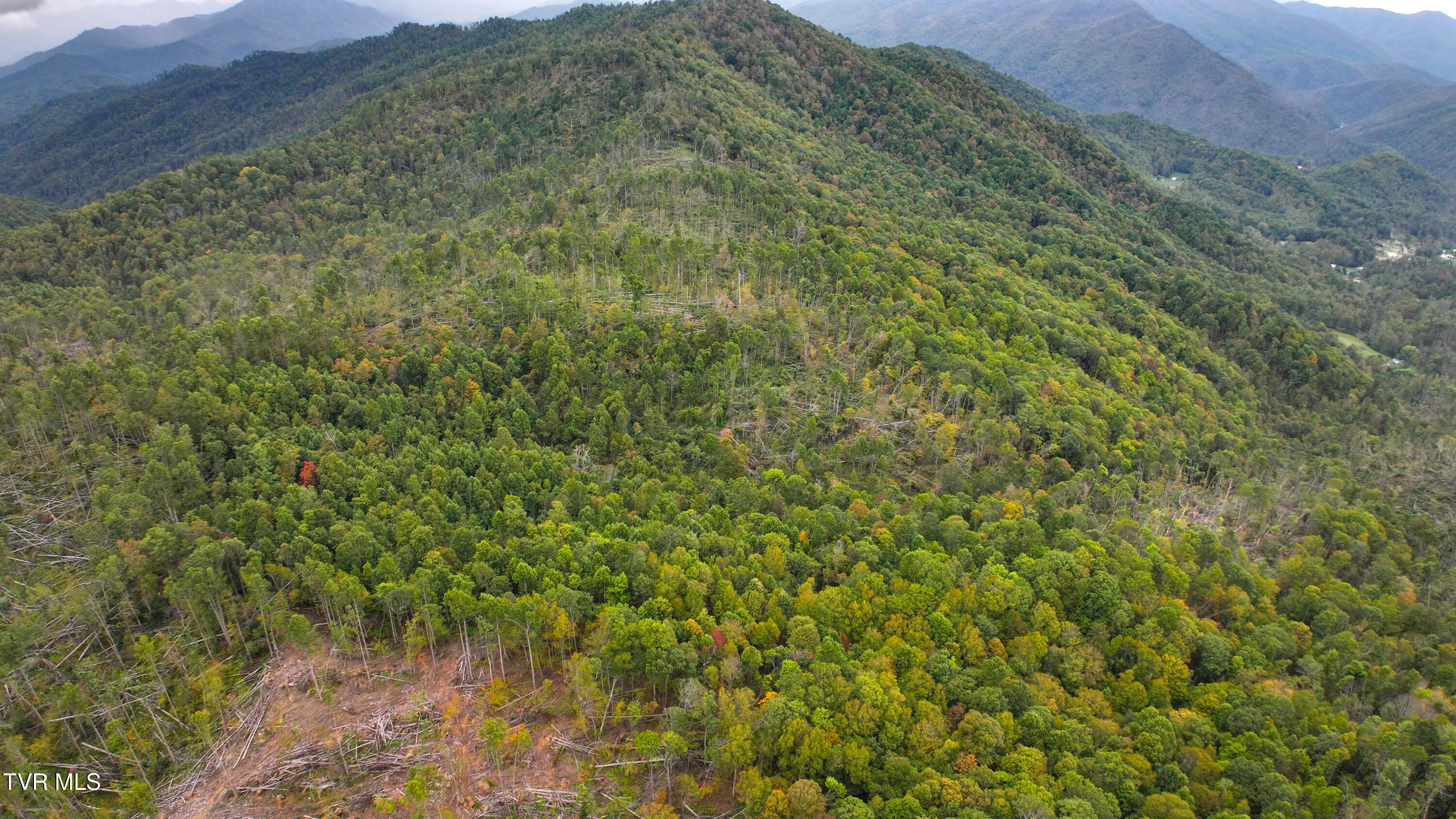 Tbd Poplar Creek Road Green Mountain, NC 28740 - Photo 8 of 14 Poplar Creek RD_Drone-9