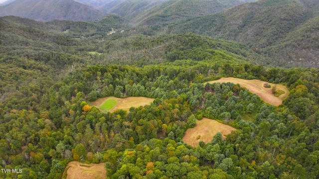 $1,100,000 | Tbd Poplar Creek Road, Green Mountain, NC 28740