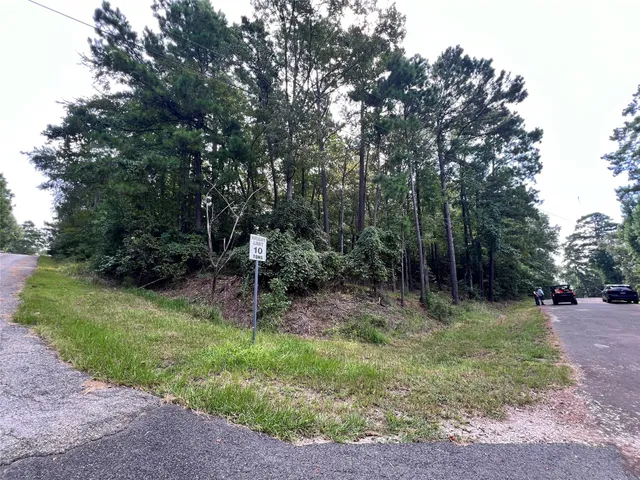 a view of a park with large trees