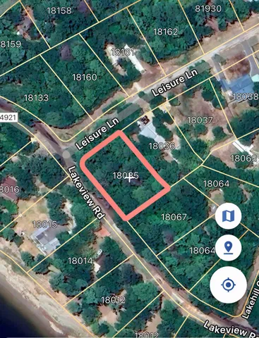 a view of a forest that has large trees