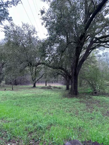 $75,000 | Conestoga Avenue, Tallahassee, FL 32309