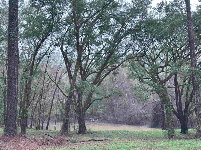 $75,000 | Conestoga Avenue, Tallahassee, FL 32309