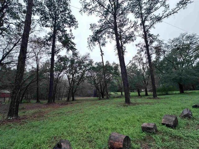 $75,000 | Conestoga Avenue, Tallahassee, FL 32309