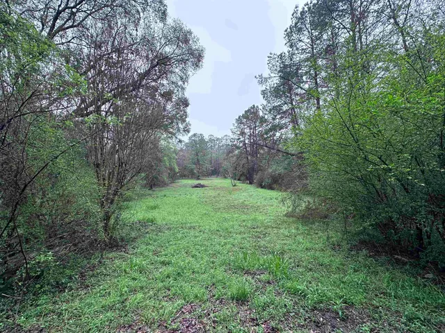 $75,000 | Conestoga Avenue, Tallahassee, FL 32309