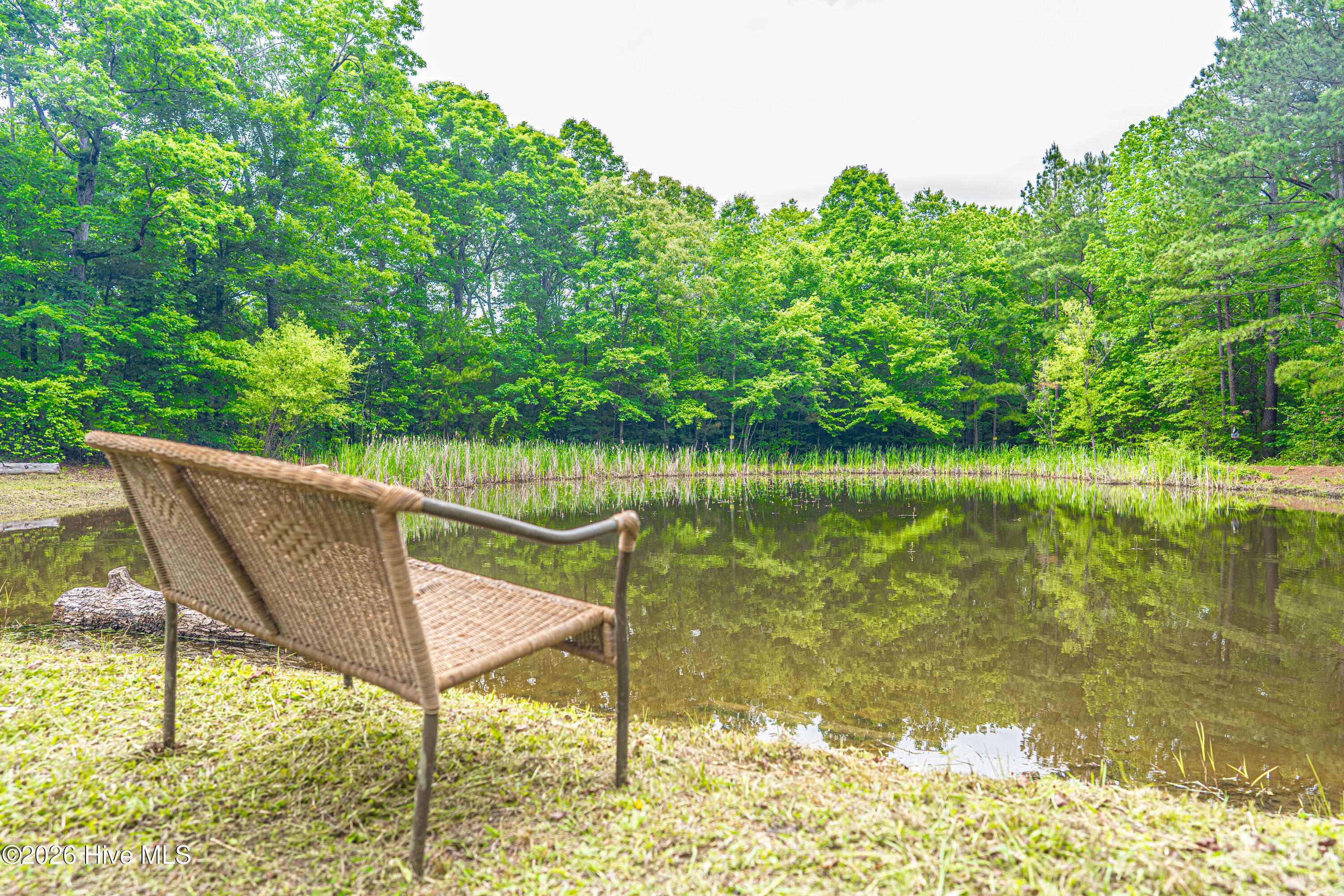 1246 Browns Mill Road Robbins, NC 27325 - Photo 29 of 44 DSC04170