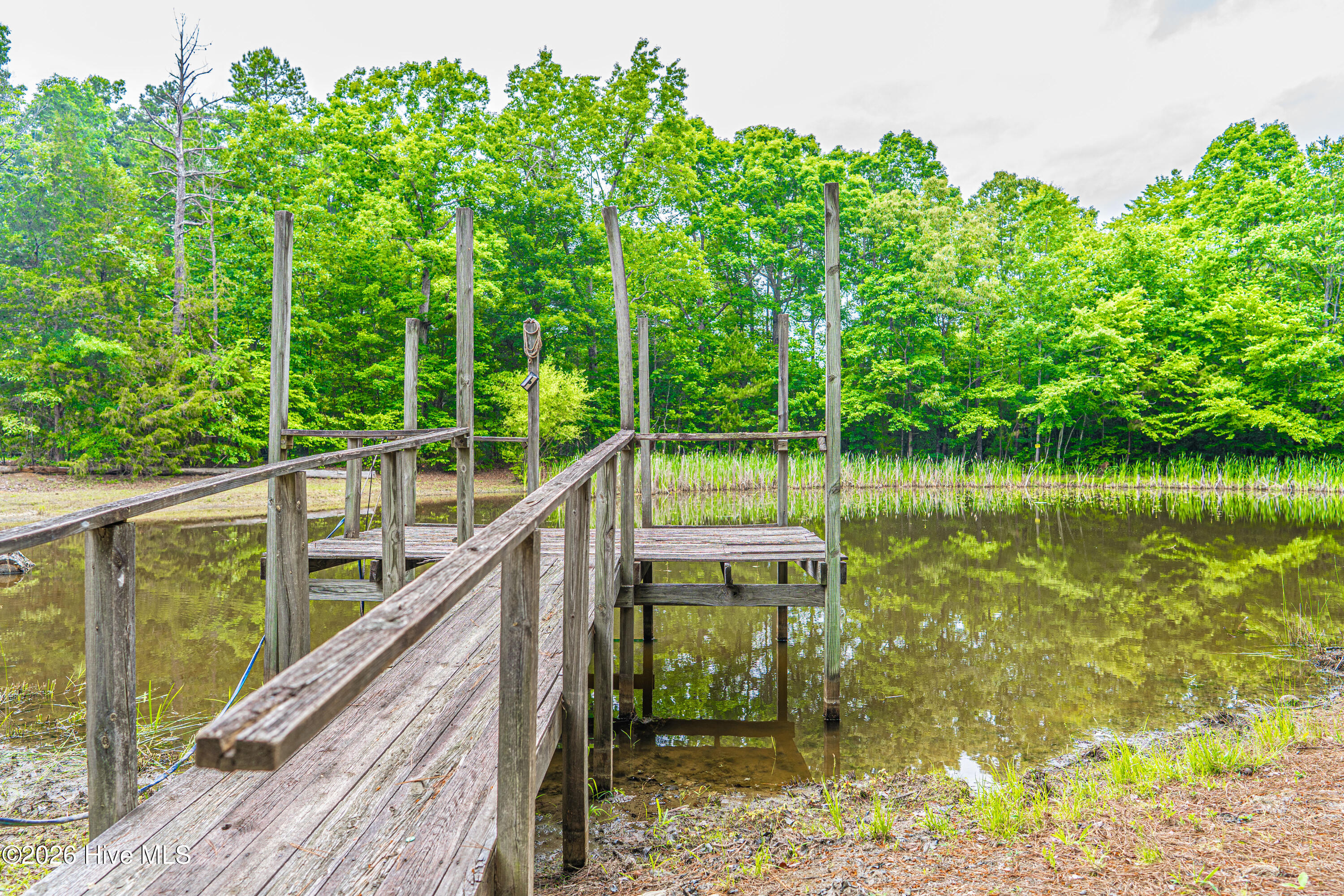 1246 Browns Mill Road Robbins, NC 27325 - Photo 30 of 44 DSC04171