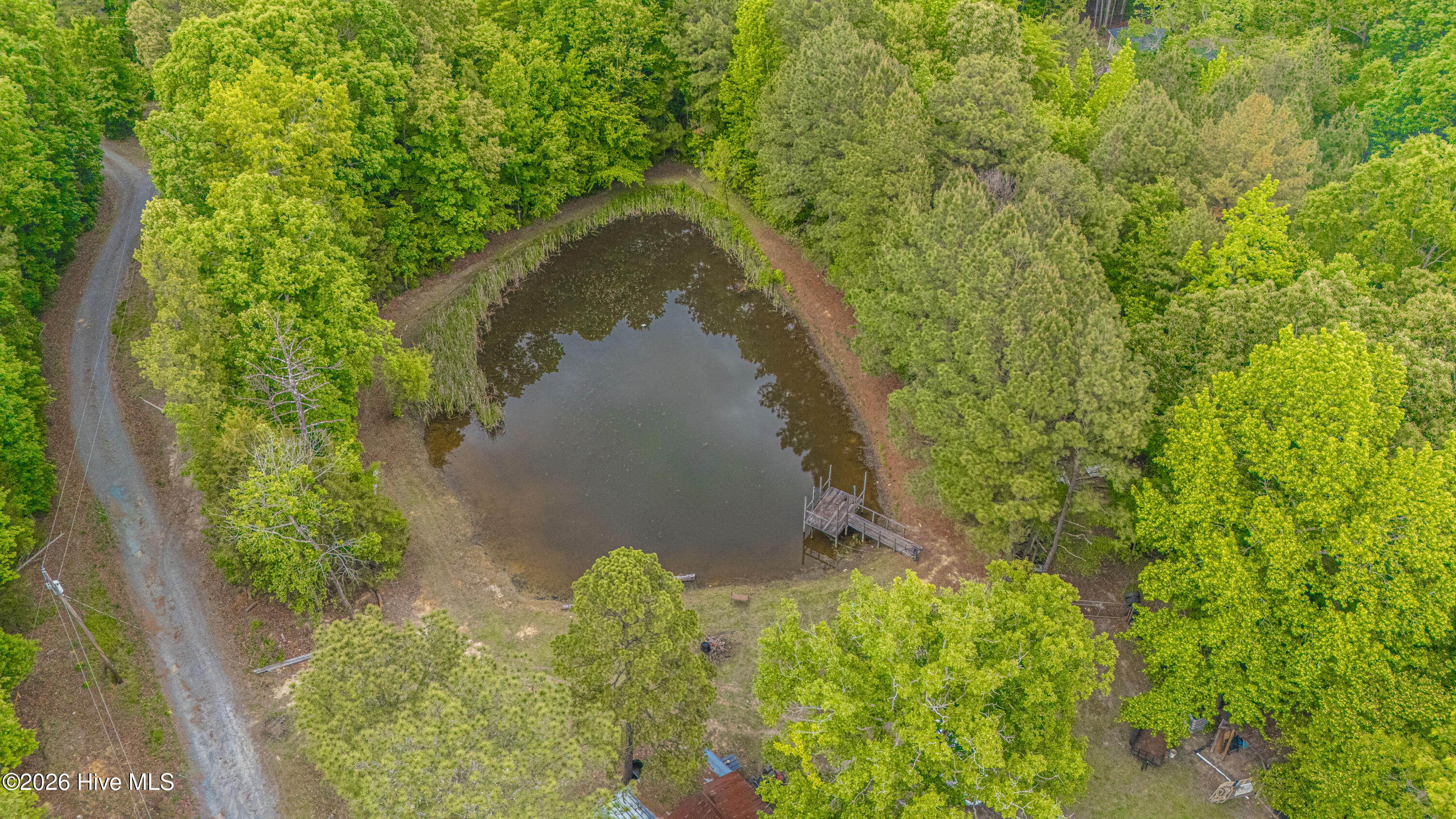 1246 Browns Mill Road Robbins, NC 27325 - Photo 3 of 44 DJI_20260509143700_0022_D
