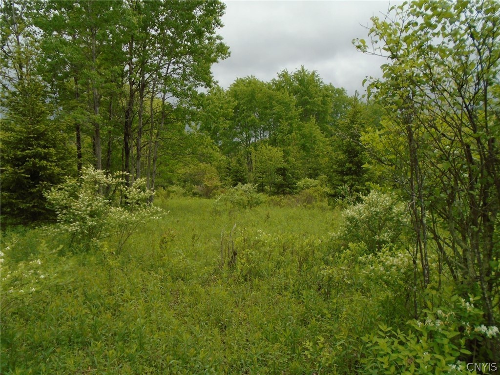 Lot B Pitcher Hill Road Pitcher, NY 13136 - Photo 5 of 29 Gallery Image 5
