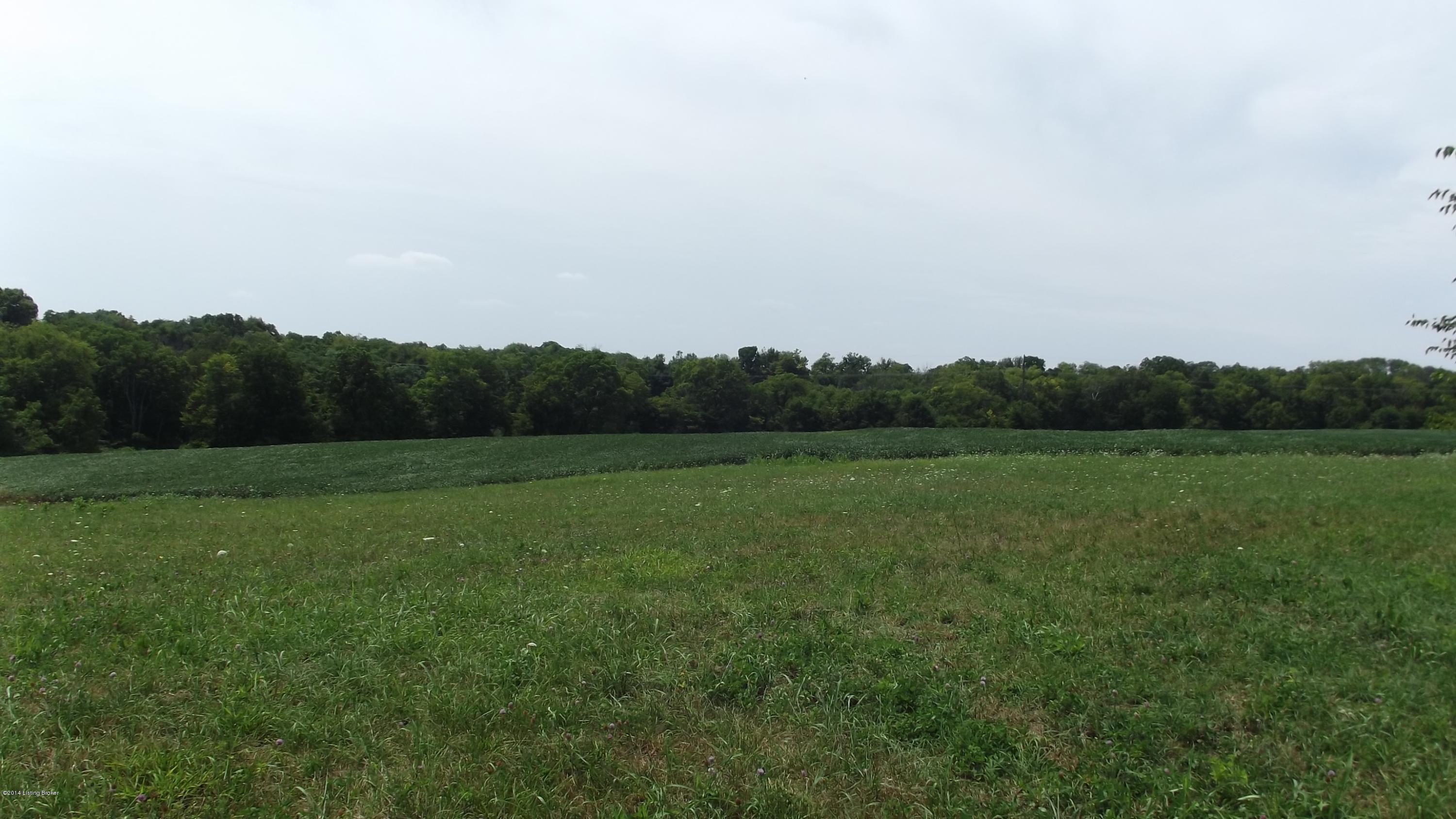 671 Sulphur Road New Castle, KY 40050 - Photo 1 of 33 DSCF4616