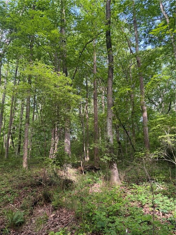 1 Melear Road Bowdon, GA 30108 - Photo 43 of 51