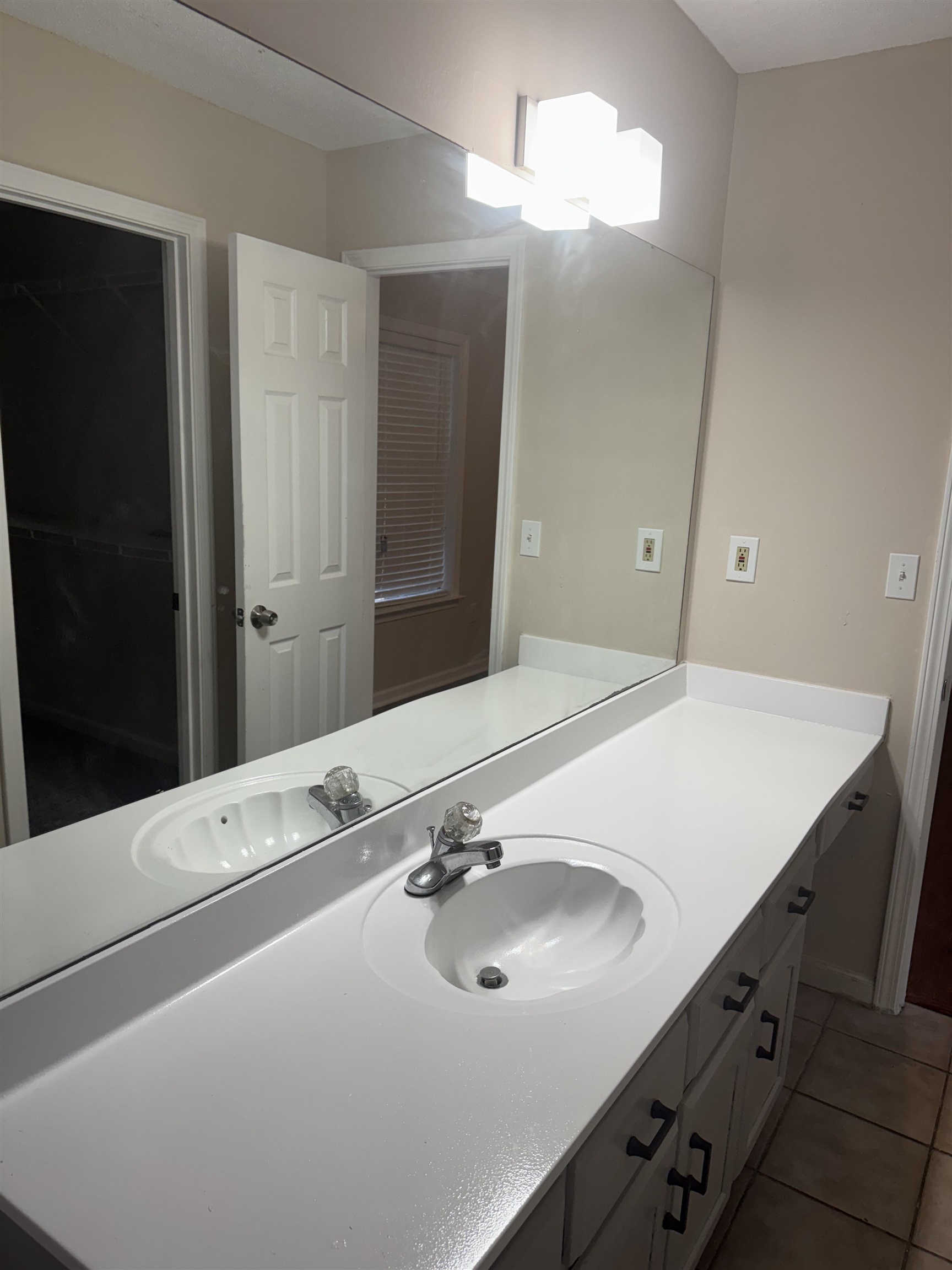 6893 Snyder Road Memphis, TN 38141 - Photo 10 of 13 a bathroom with a sink and a mirror