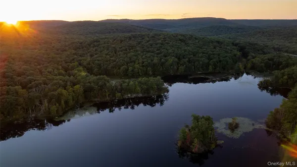 a view of a lake in middle of forest
