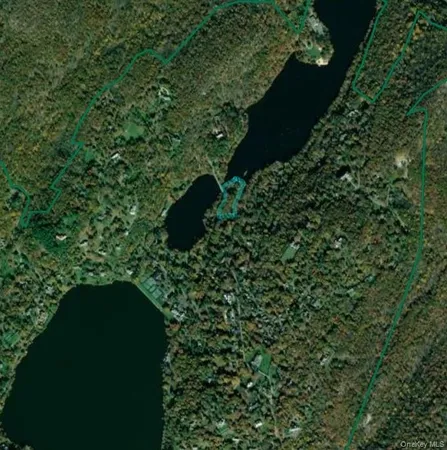 a picture of a plant with a window