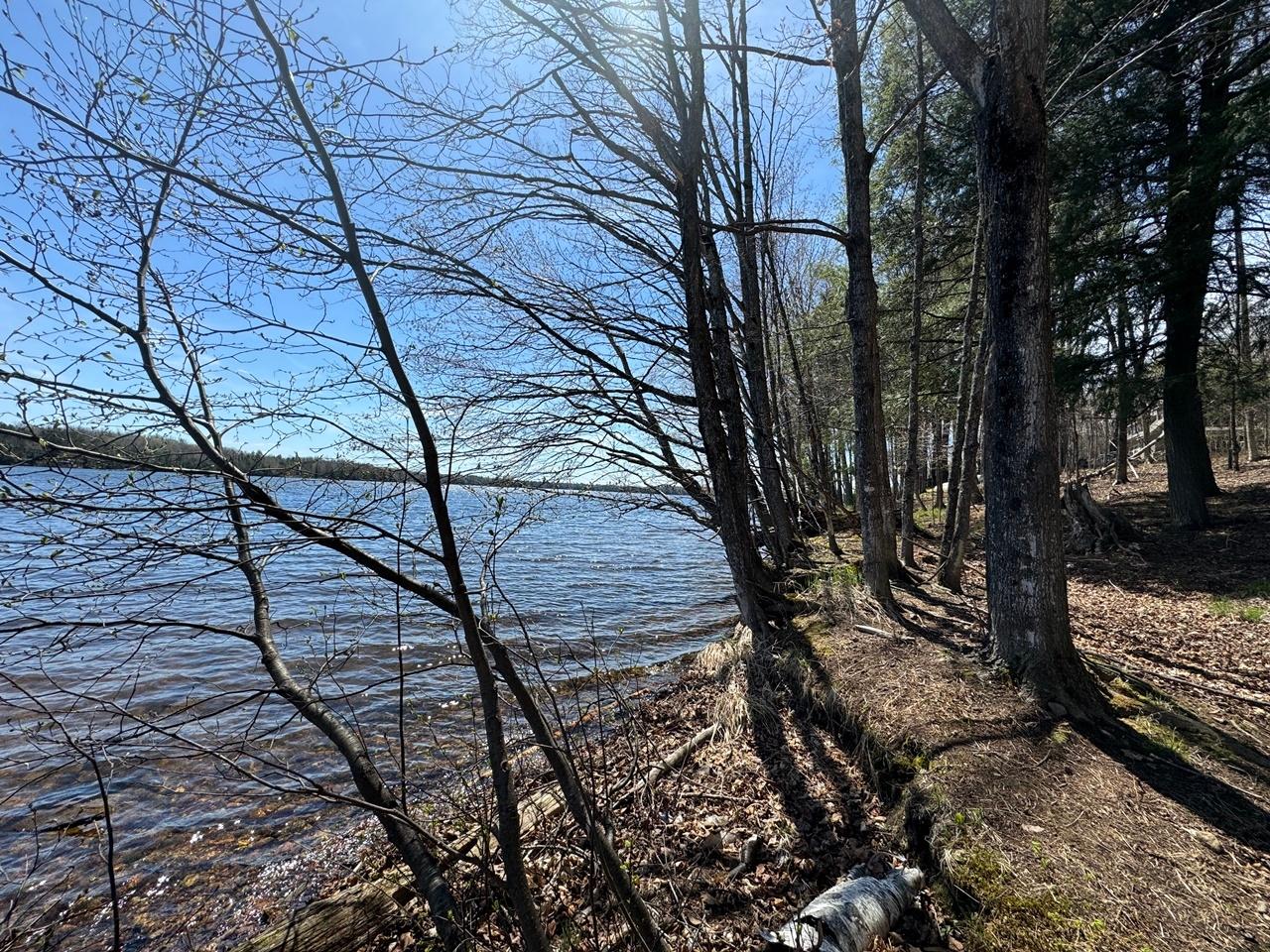 Lot 1 Black Forest Road Presque Isle, WI 54557 - Photo 7 of 18 Gallery Image 7