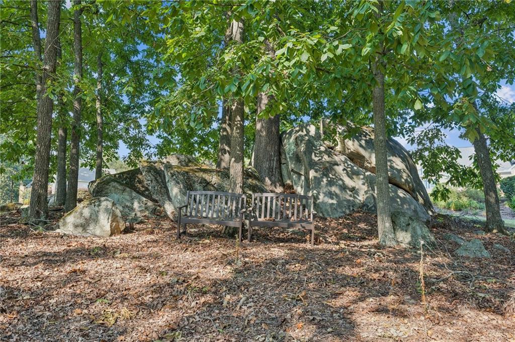 254 Lingefelt Lane Canton, GA 30115 - Photo 34 of 52