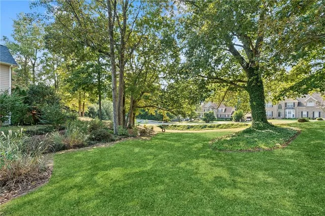 a view of garden with trees