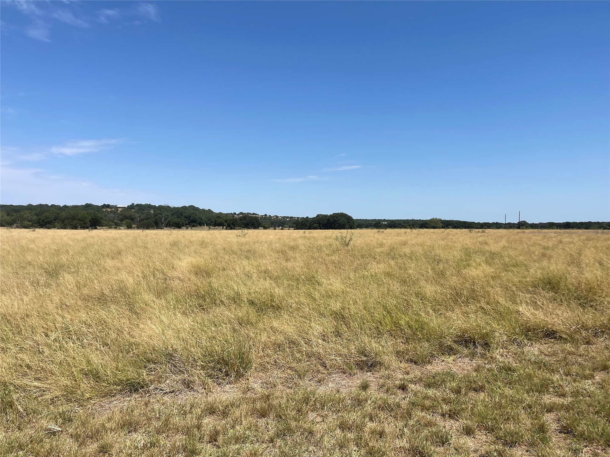 Lot 35 Cattle Trail Kempner, TX 76539 - Photo 11 of 20 Rolling hills and mature trees frame this expansive, open pasture under a clear blue sky.