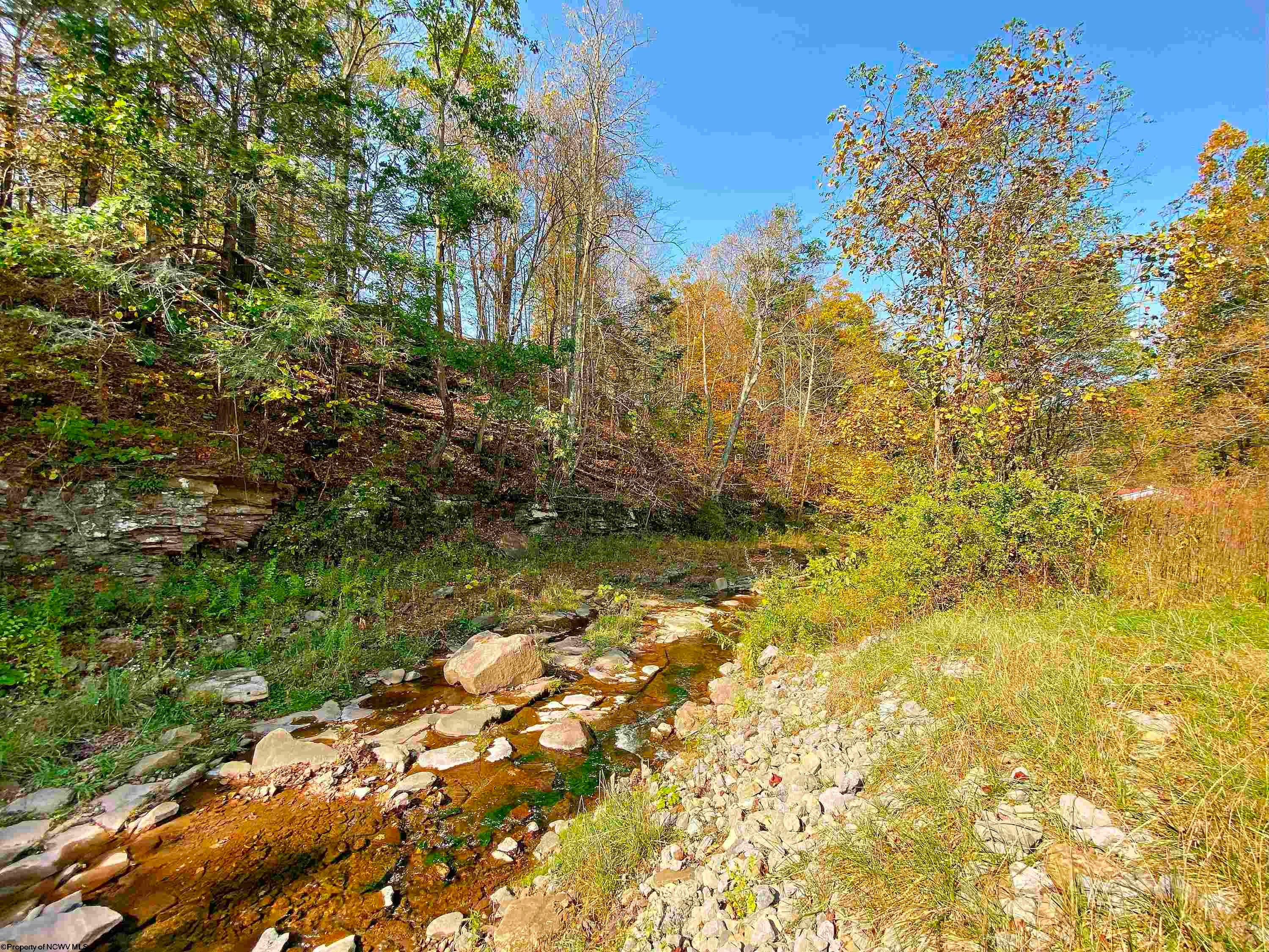 Tbd Blizzard Gate Road Harman, WV 26270 - Photo 11 of 16 Gallery Image 11