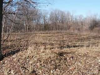 M Stanton Lake Road Attica, MI 48412 - Photo 1 of 1 Property Photo
