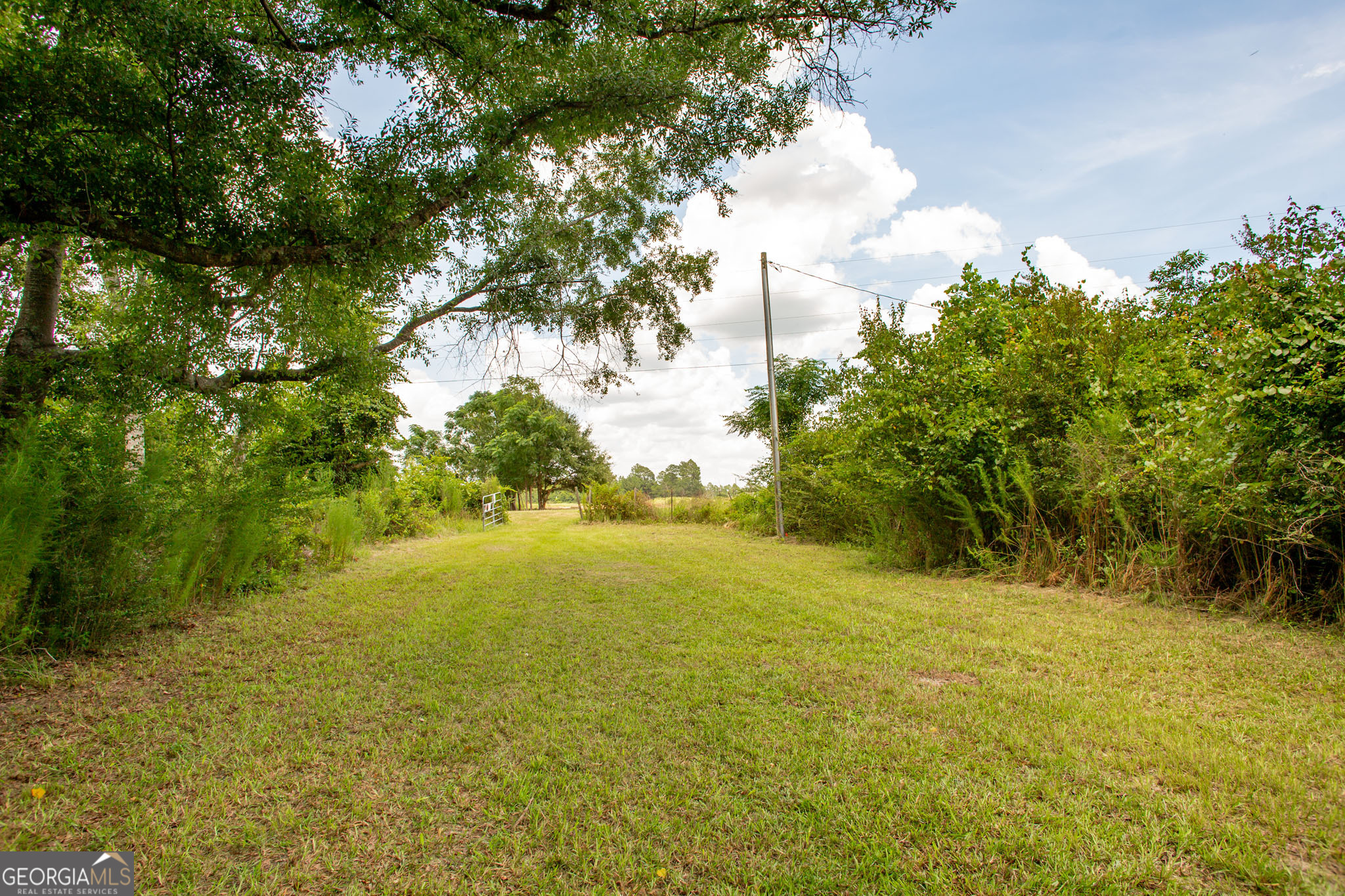 2512 Beulah Church Road Alma, GA 31510 - Photo 7 of 59