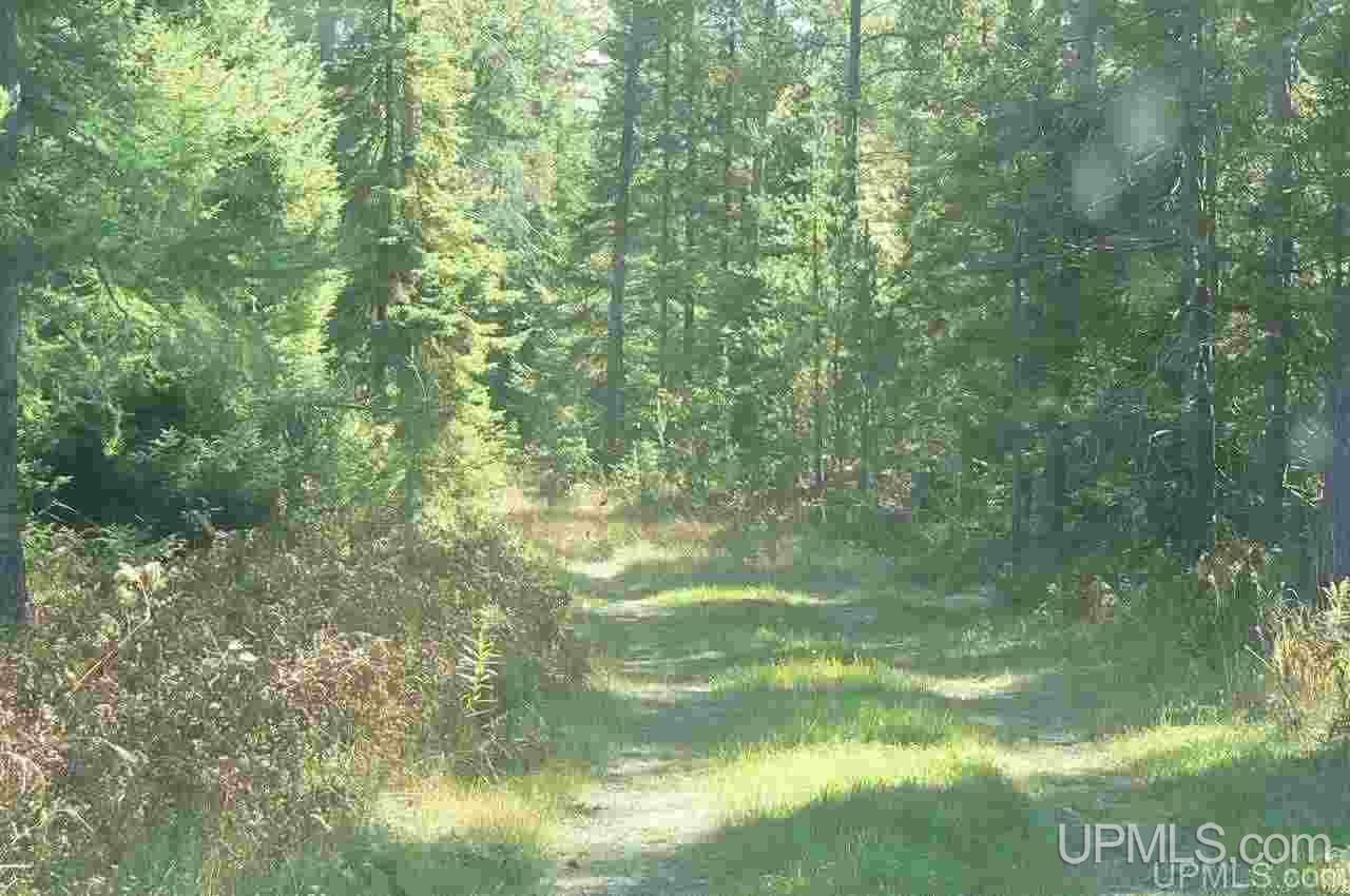 E8151 Co Road Wetmore, MI 49895 - Photo 14 of 27