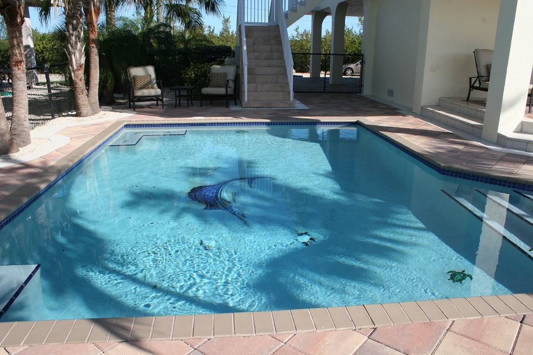 119 Bluebird Road Tavernier, FL 33070 - Photo 4 of 31 Pool