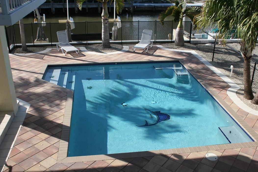119 Bluebird Road Tavernier, FL 33070 - Photo 6 of 31 Pool