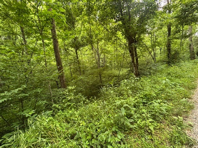 0 Brush Run Road Ripley, WV 25271 - Photo 10 of 13 Gallery Image 10