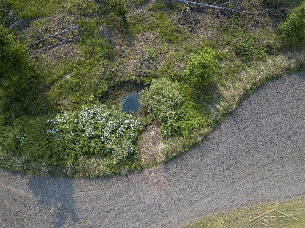 66-acres North Geneva Road Coleman, MI 48618 - Photo 9 of 44 Gallery Image 9