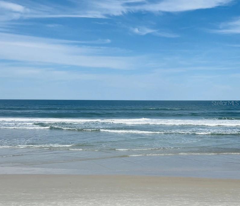 1407 Needle Palm Drive Edgewater, FL 32132 - Photo 28 of 28 a view of an ocean