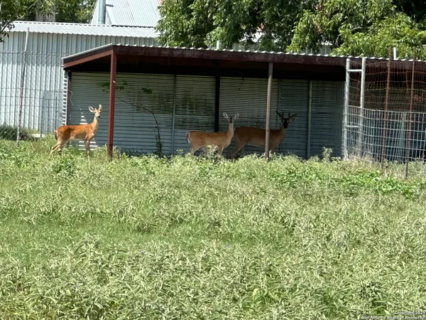 $1,738,999 | 10745-10767 Rosemar Lane, Adkins, TX 78101