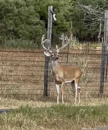 $1,738,999 | 10745-10767 Rosemar Lane, Adkins, TX 78101