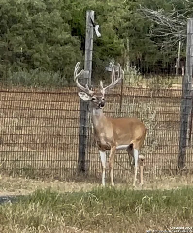 $1,738,999 | 10745-10767 Rosemar Lane, Adkins, TX 78101