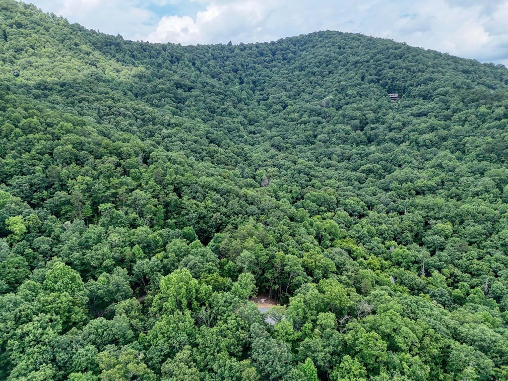 35 Adisi Ridge Murphy, NC 28906 - Photo 27 of 39 Gallery Image 27