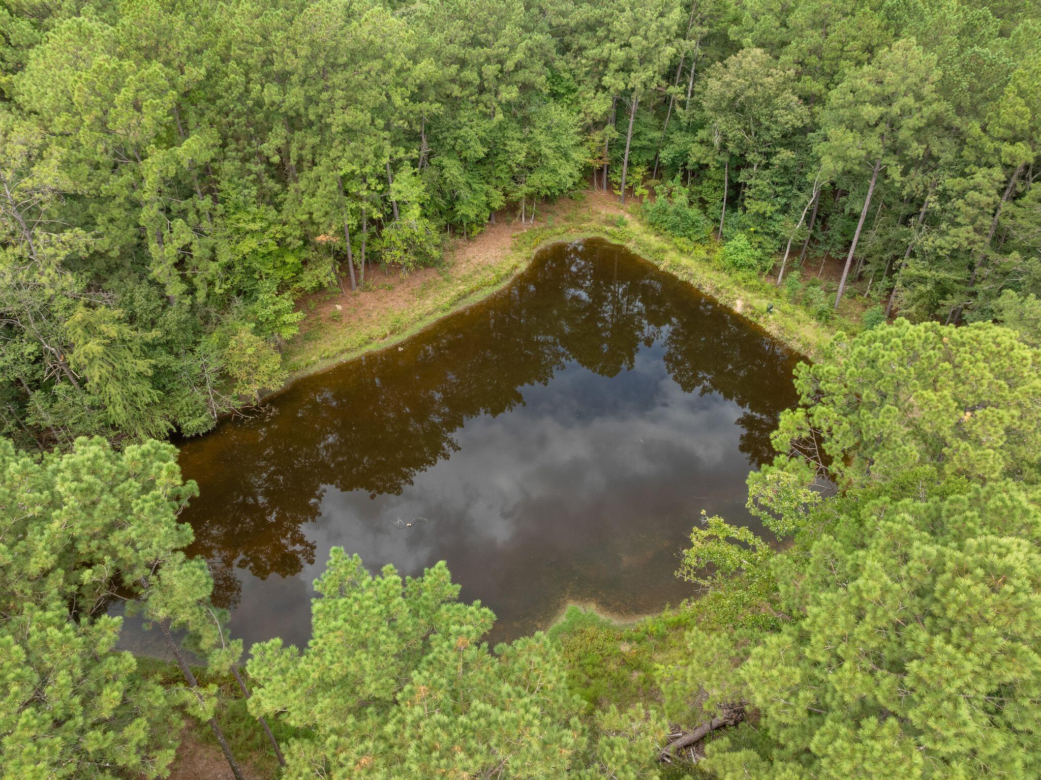 430 George Boutwell Cutoff Road Laurel, MS 39443 - Photo 39 of 52 Gallery Image 39