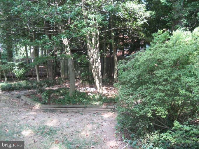 5503 Callander Drive Springfield, VA 22151 - Photo 26 of 28 a backyard of a house with lots of green space