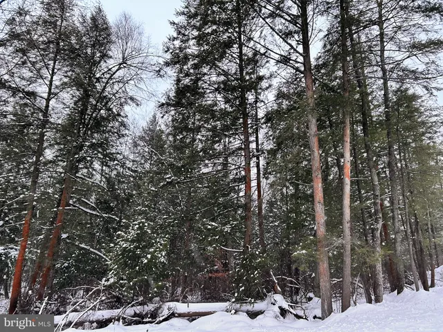 $139,000 | Tabernacle Road, Curwensville, PA 16833