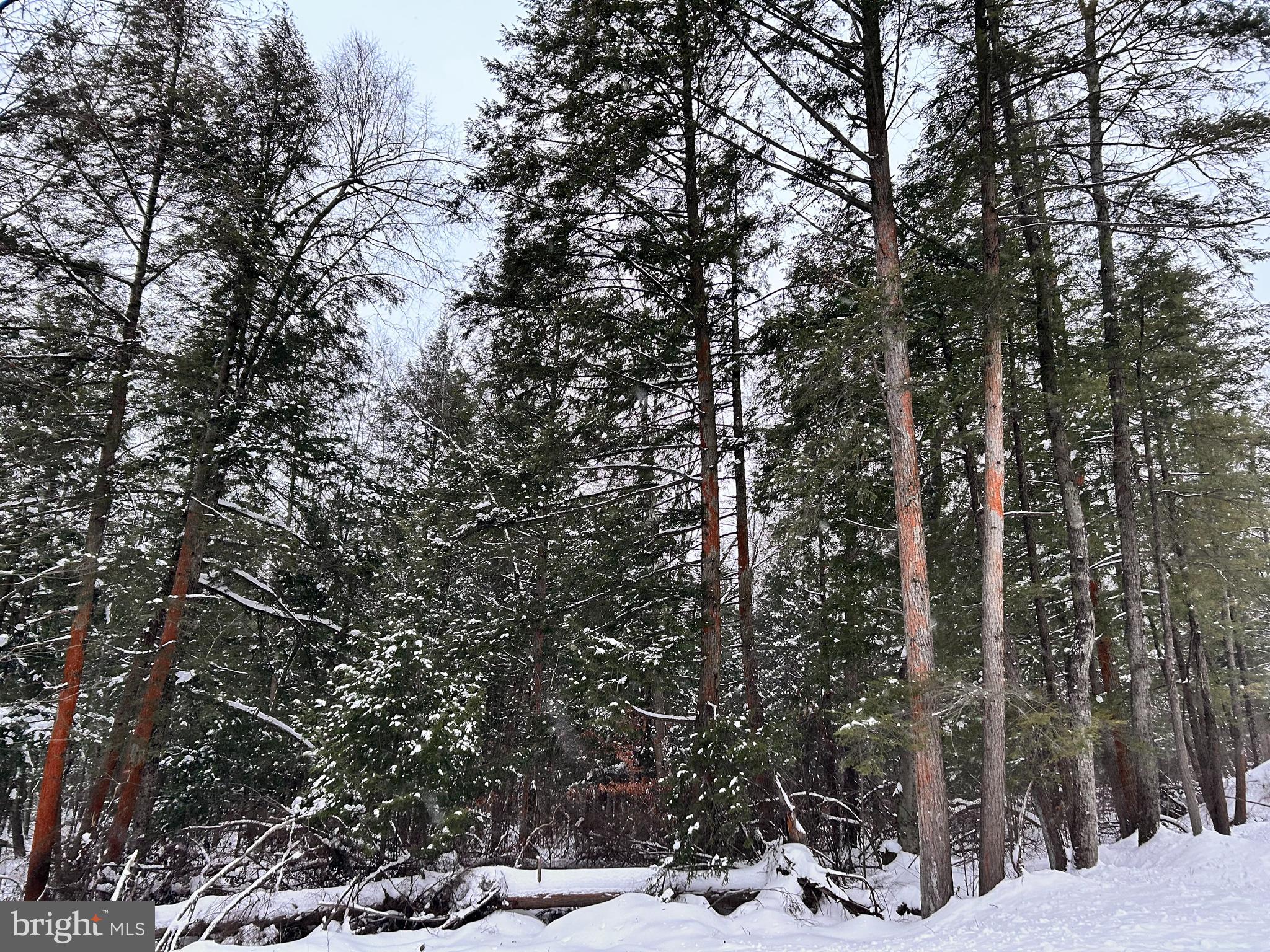 Tabernacle Road Curwensville, PA 16833 - Photo 2 of 5