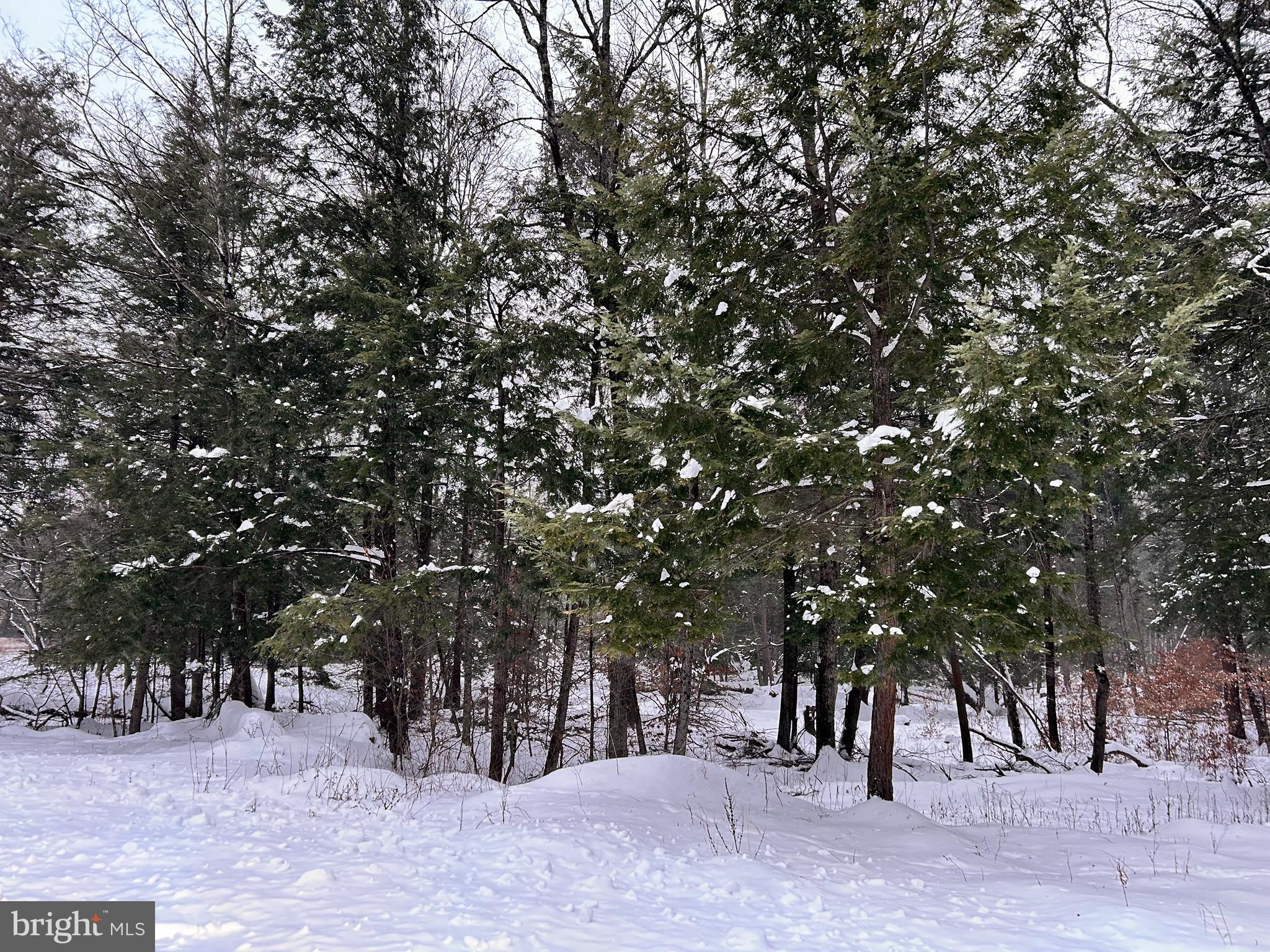 Tabernacle Road Curwensville, PA 16833 - Photo 3 of 5