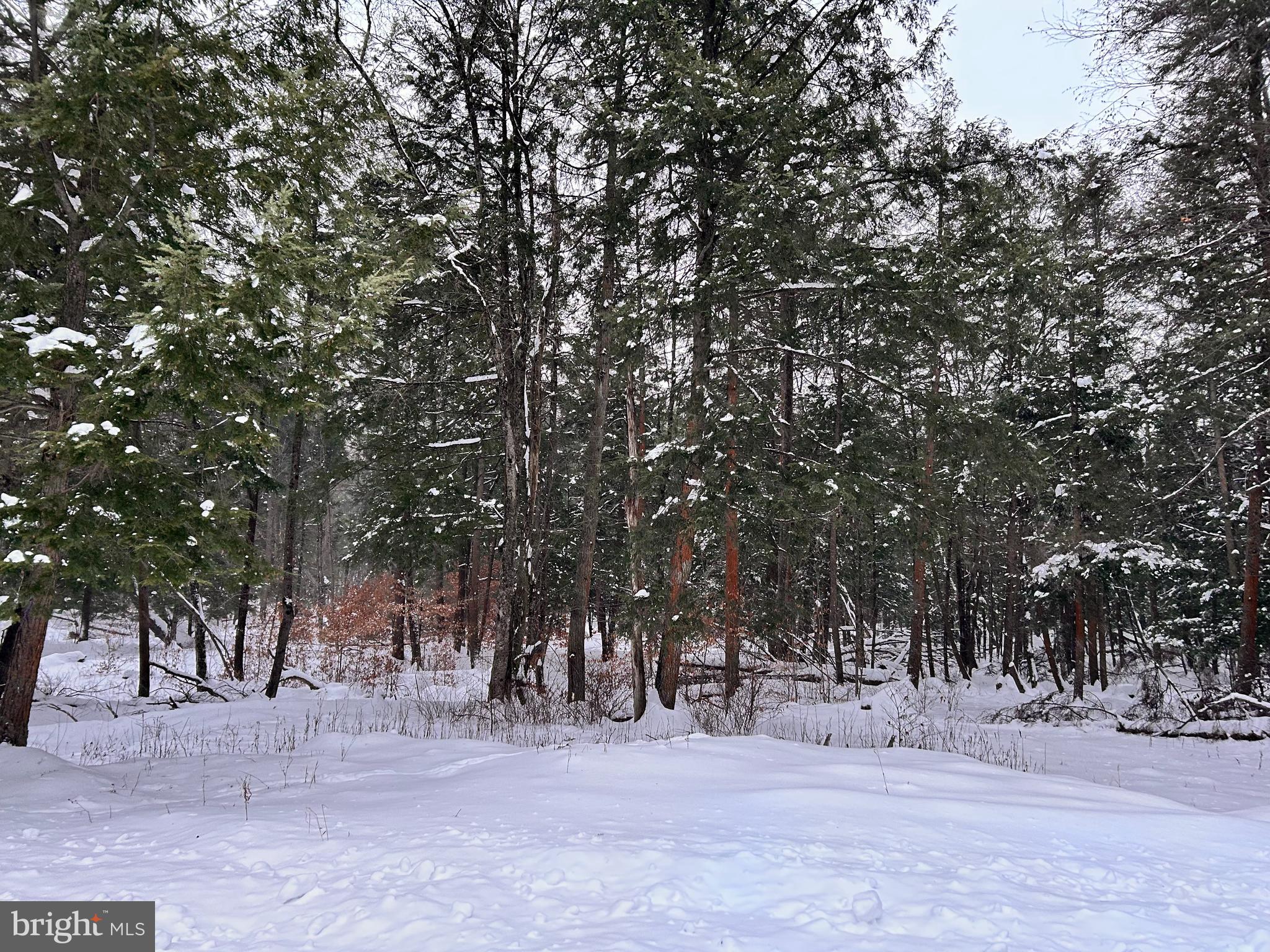 Tabernacle Road Curwensville, PA 16833 - Photo 4 of 5