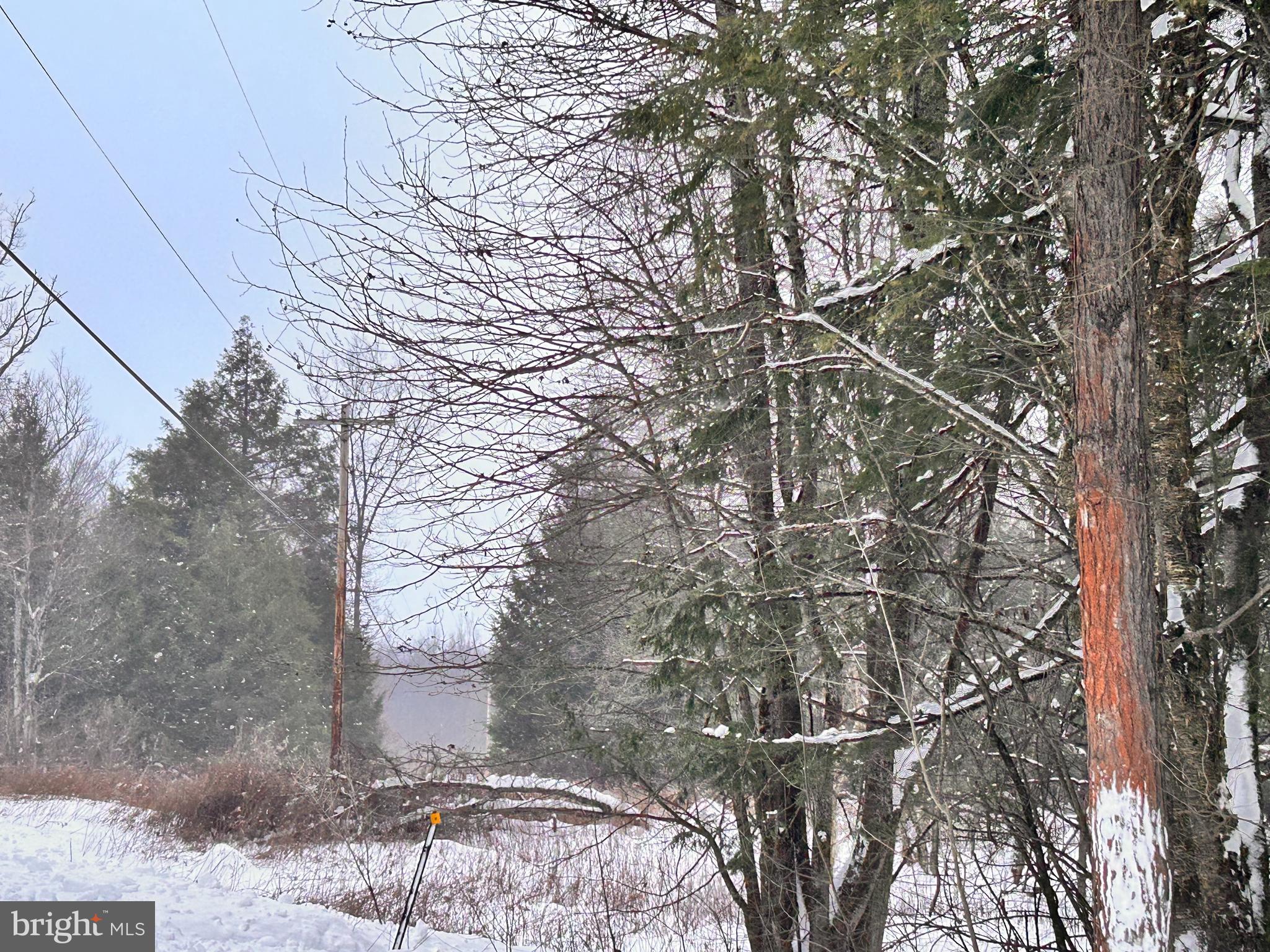 Tabernacle Road Curwensville, PA 16833 - Photo 5 of 5