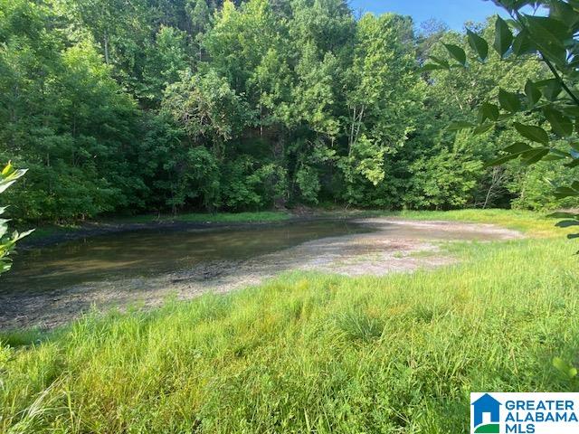 0 Highway 231, Unit 88 / AC Cleveland, AL 35049 - Photo 12 of 20