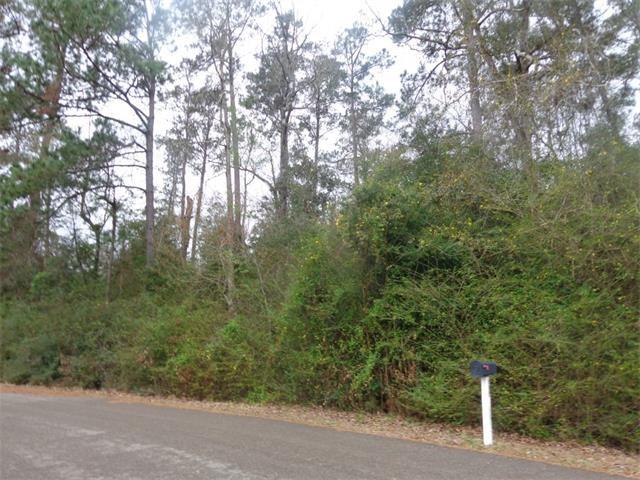 0 Smith Road Franklinton, LA 70438 - Photo 4 of 4 Gallery Image 4