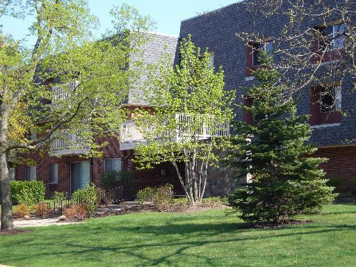 918 Ridge Square, Unit 111 Elk Grove Village, IL 60007 - Photo 1 of 1 front view of a house with a yard