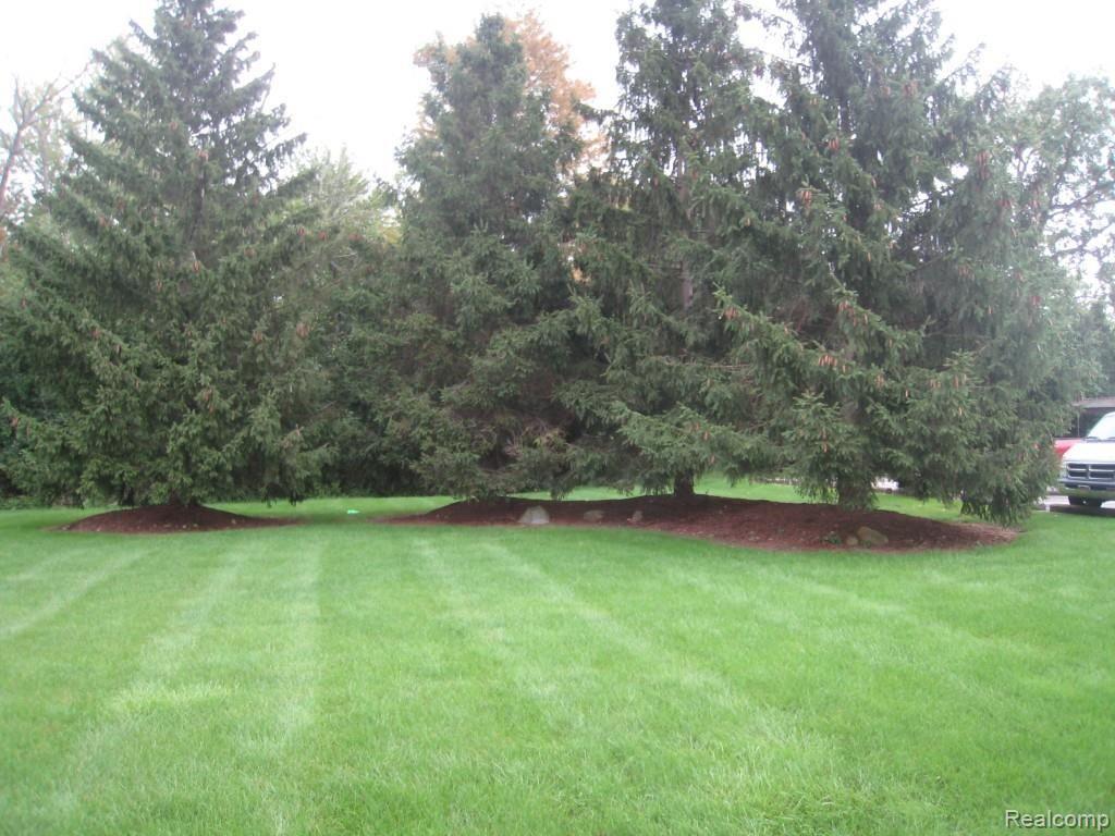 24111 Meridian Road, Unit 119 Grosse Ile, MI 48138 - Photo 14 of 15 COMPLEX GROUNDS.jpg
